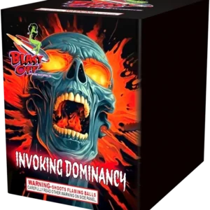 Fireworks box featuring a skull design.