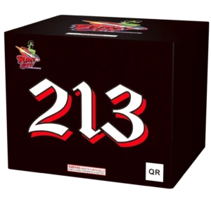 Black box with "213" in bold white.